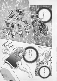 [Gun Ryuusei] Wakakusa Bishoujotai vol.4