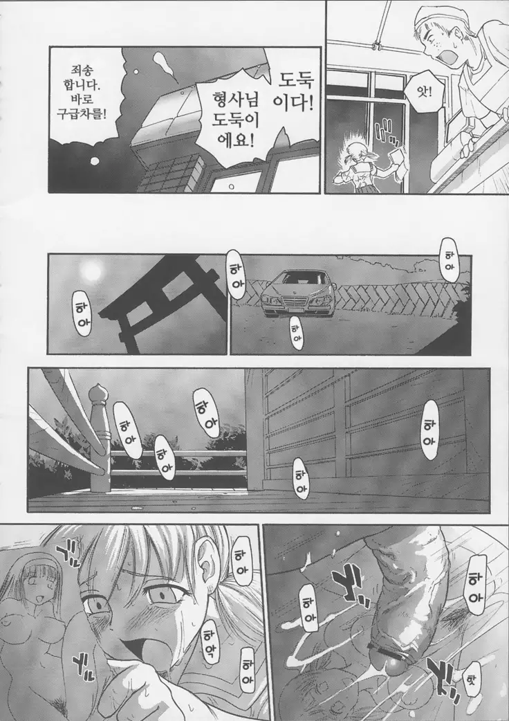 ダルシーレポート 6