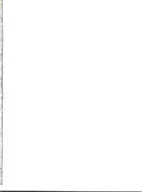 [Anthology] Shitsurakuen 2 - Paradise Lost 2 (Neon Genesis Evangelion)