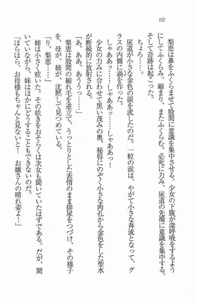 メイド喫茶 猫の隠れ家