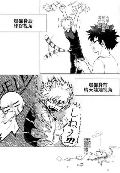 Shèngchū bào māo bǐjìběn