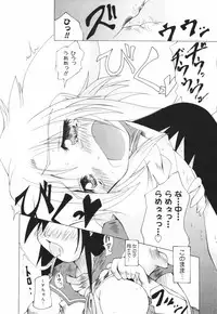 [Combat Echizen] Oneechan Bousou Tokkyuu!