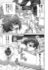 [Yoshida Inuhito] Anesakyu