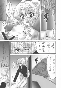 (CR33) [L-Gauge Sha (Shouryuu)] EVE (Black Cat)