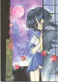 (CR27) [UROBOROS (Utatane Hiroyuki)] Tsuki ni Nureta Hitomi (Kizuato)