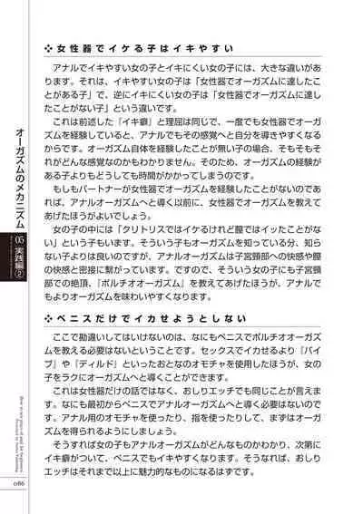 いますぐデキる 図説おしりエッチマニュアル
