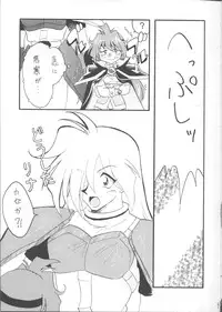 [Ginmomodou (Mita Satomi)] SLAYERS ADULT 12 (Slayers)