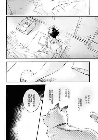 (Yougen Kinkyuu SUMMER 2021) [CANARY (bi)] FUSHI TO NEKO (Jujutsu Kaisen) [Chinese]