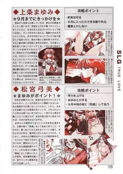PC Bishoujo Software Strategy Book: Strategy King 2