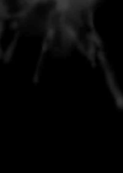 Itsumademo Issho ni Ganbarimashou