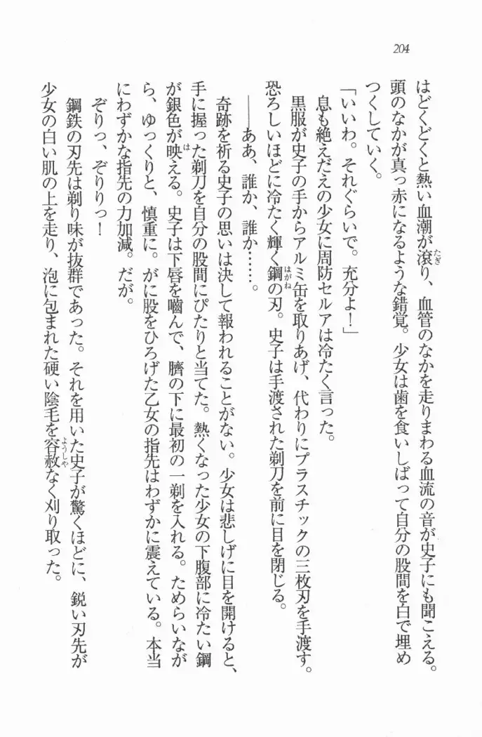 メイド喫茶 猫の隠れ家