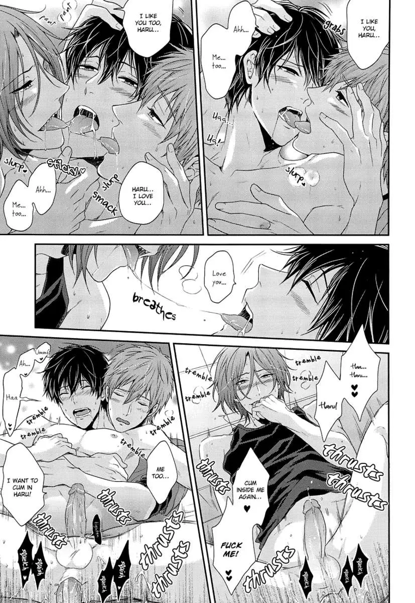 Please Forgive This Bad Dolphin