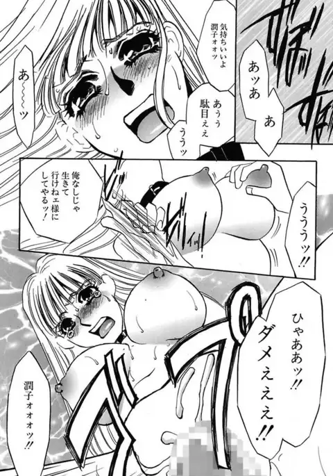 Ijou Seiyoku Mesuinu Toshite