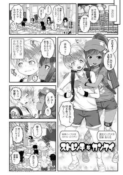 Soutaisei Virgin Theory