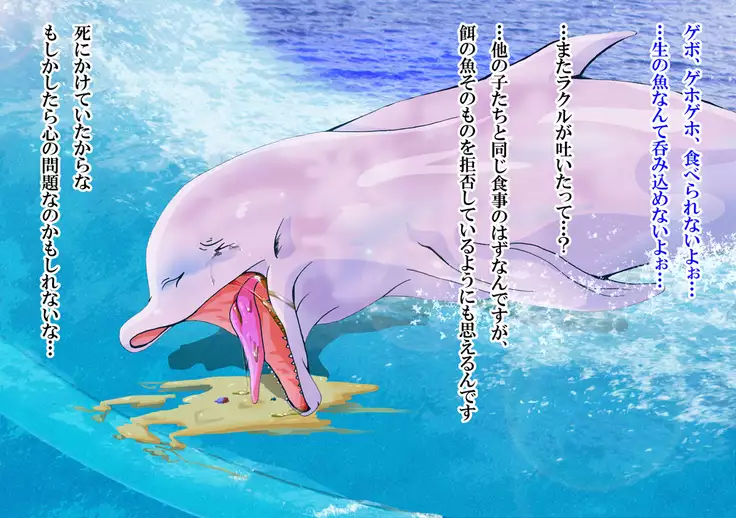 iruka no suuki na unmei