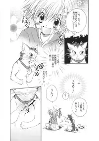 [Aranaga Hikaru] Chibikko Club