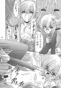 (CR33) [L-Gauge Sha (Shouryuu)] EVE (Black Cat)