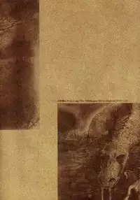 [Takashi Ishii] Maraque