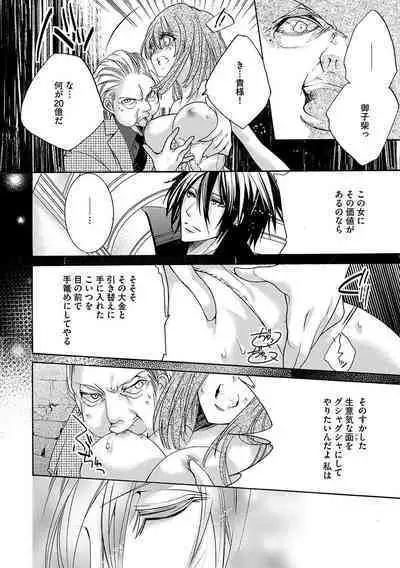 鬼畜兄弟の悶絶調教～私はいいなり奴隷～