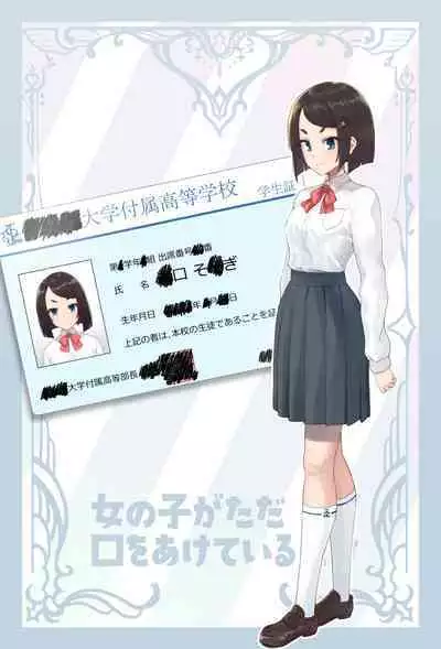 onnnoko ga tadakuti wo aketeirudake