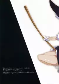 (C73) [Missing Link (Shingo)] TRICKSTeR (Touhou Project)