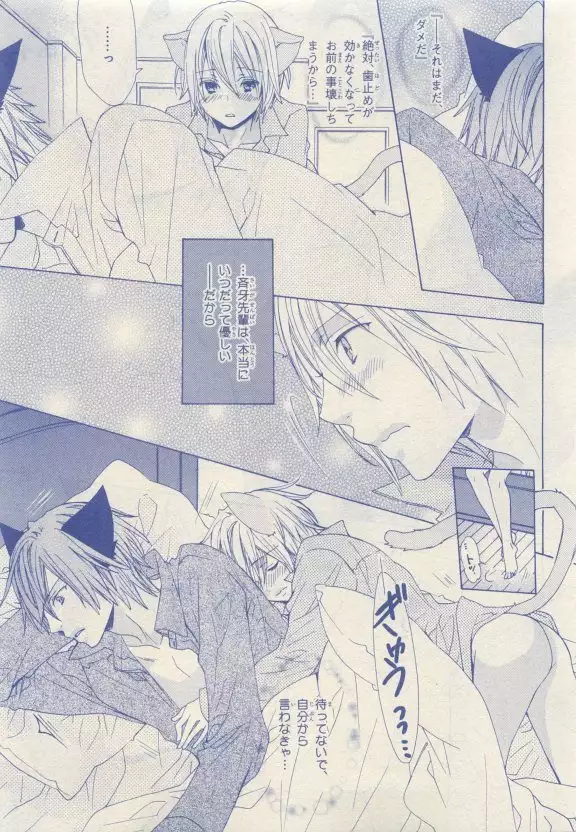 JUNK!BOY 2015 はるやすみ