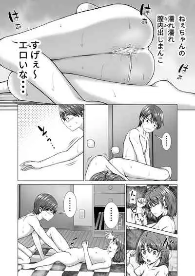 Houkei o Baka ni Shita Ane o Yatte Shimau Hanashi