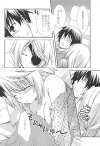 (C78) [CHAGASHI SAIBAN (Yamabuki Mook)] Koneko de Issho (Infinite Stratos)