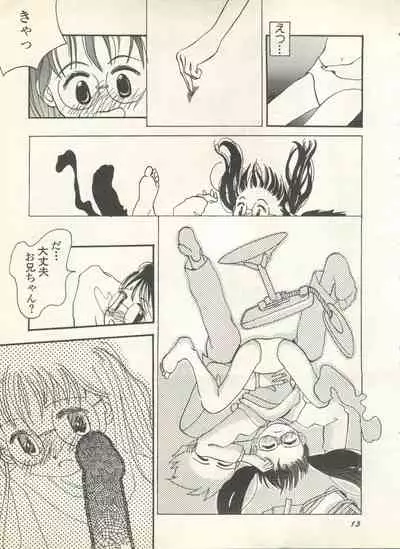 Shin Bishoujo Shoukougun 4 Houou hen