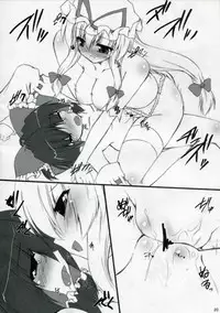 (C77) [Yuugen Jikkou (Gonzaburou)] Blooming Over (Touhou Project)