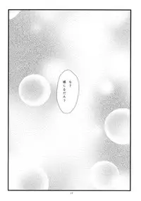 (C87) [Hanasameyashiro (hisame*, Hanao)] Little Happiness! (Touhou Project)