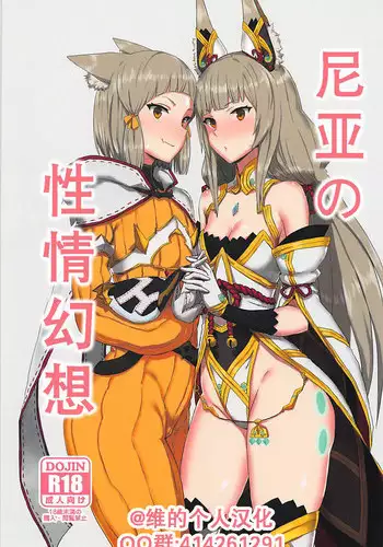 (COMIC1☆13) [Gomuhachi (Gomu)] Watashi no Omoi o Anata ni... (Xenoblade Chronicles 2) [Chinese] [维个人汉化]