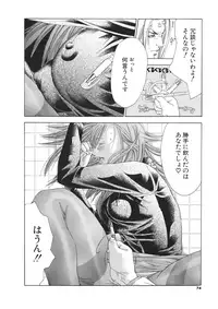 [Miyazaki Maya] Miyazaki Maya Daizukan EX Deluxe Special