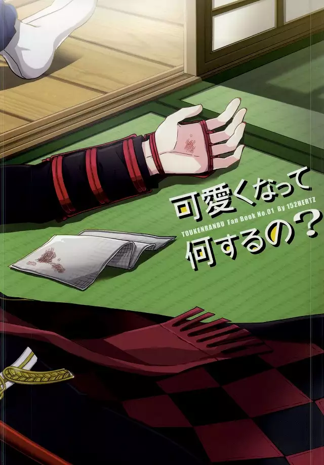 Kawaiku Natte Nani Suru no?