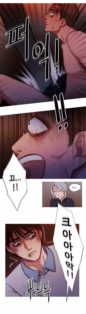 Scandal of the Witch Ch.0-33