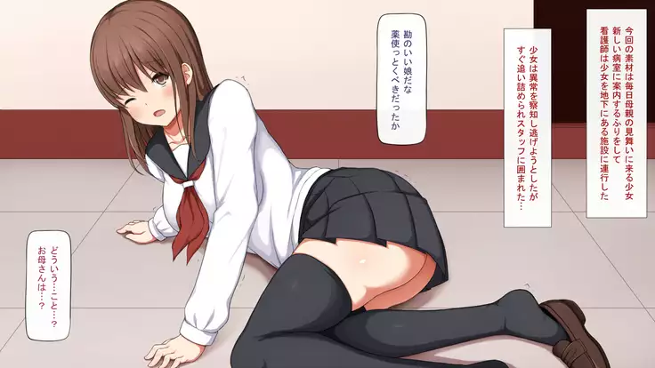 Shoujo Buppinka ~Kotei-shiki Niku Benki~