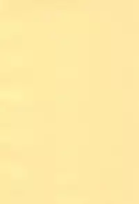 (C93) [Mofu Shippo Lab (Subaru.)] Wanko no Tadashii Shitsuke Kata (Touhou Project)