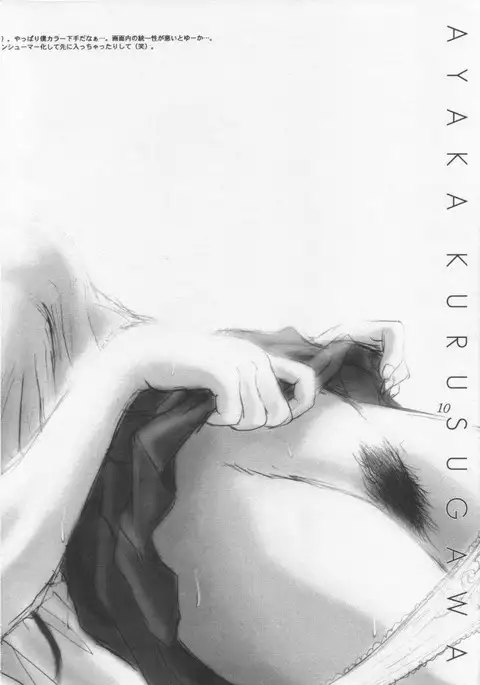 SUPPLEMENT AND DEVELOPMENT