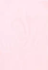 [Watanabe Wataru] Minako Sensei - Bakunyuu Panic