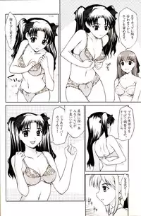 [Precious HEART] Shiritsu Fate Gakuen ~Saber Tennyuuhen~ (Fate/stay night)