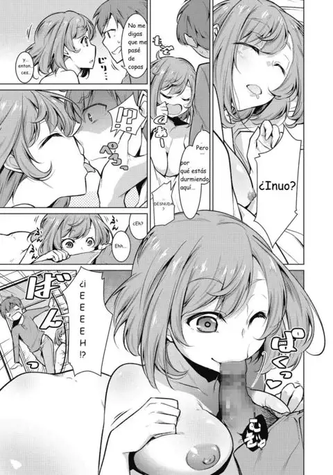 Una cómoda vida de un "dueño" de mascotas