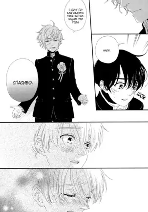 The Daydreamer Falls in Love