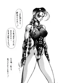 (C46) [Yuriai Kojinshi Kai (Various)] Heats I (Street Fighter)