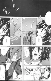 [NEO-de (Natsuzaka)]レーゲン (Gundam Seed Destiny)