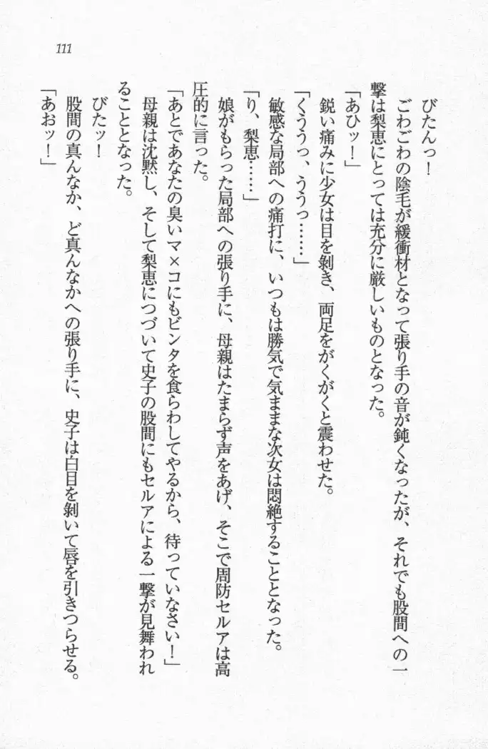 メイド喫茶 猫の隠れ家