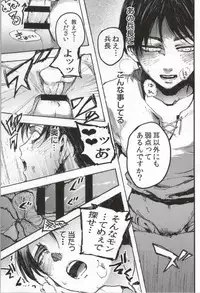 (C86) [Onjire (Tamy)] ONGRE2013 (Shingeki no Kyojin)