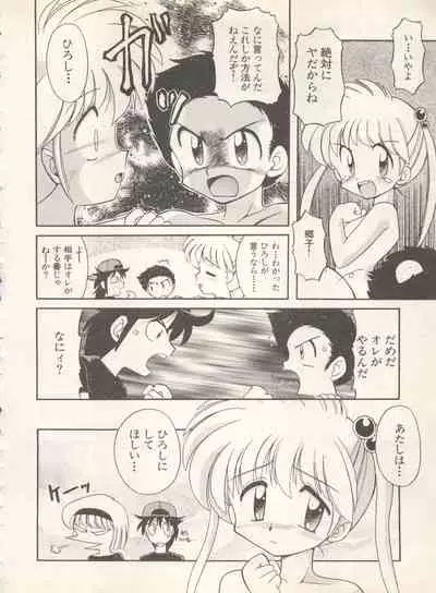 Shin Bishoujo Shoukougun 4 Houou hen