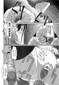 COMIC XO 2009-02 Vol.33