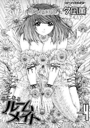 Kininaru Roommate Vol.4