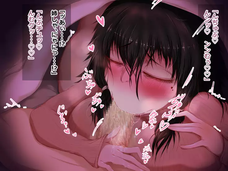 Hikikomori na Oneechan ni Kamatteagetetara Mechakucha ni Sareteta